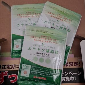 カテキン 減脂粒 3袋セット