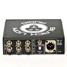 Black Lion Audio Micro Clock MK3 XB_画像3