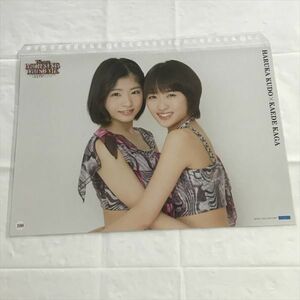 B16220 ◆加賀楓　工藤遥　モーニング娘 A4サイズ　ピンナップポスター 送料180円 ★5点以上同梱で送料無料★