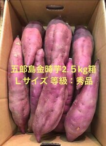 加賀野菜　五郎島金時芋2.5kg Ｌサイズ秀品