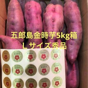 加賀野菜　五郎島金時芋5kg箱　Ｌサイズ