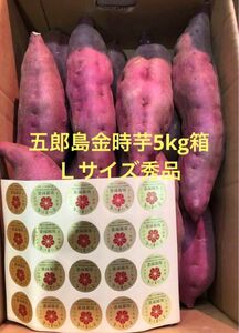 加賀野菜　五郎島金時芋5kg箱　Ｌサイズ秀品