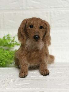 Art hand Auction wool felt miniature dachshund handmade, toy, game, stuffed toy, Wool felt