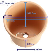 植木鉢 おしゃれ 安い 陶器 サイズ 13cm 尻丸えびね 4号 素焼 室内 屋外 レンガ 色_画像3