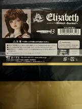 SD13 エリザベス Super Dollfie 13 女の子 Elizabeth ～Destiny's Guardian～_画像3