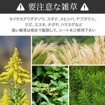 防草シート [ 幅1m×長さ50m ] 耐久年数5年 高透水 農業 園芸用 砂利 雑草シート ガーデニング 駐車場 家庭菜園 太陽光発電敷地 雑草防止_画像5