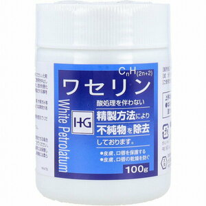 期限2028年8月以降　　大洋製薬 株式会社 ワセリンHG100g 一個