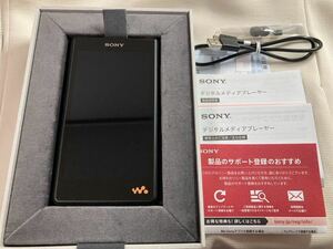【SONY】ウォークマン 128GB WM1シリーズ NW-WM1AM2