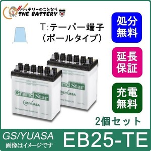 2個セット 保証付 EB25 TE ポール端子 蓄電池 自家発電 GS YUASA ユアサ 小形電動車用鉛蓄電池