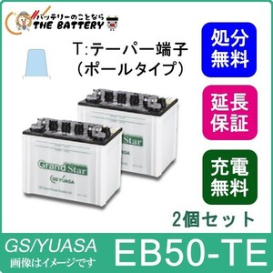 2個セット 保証付 EB50 TE ポール端子 蓄電池 自家発電 GS YUASA ユアサ 小形電動車用鉛蓄電池
