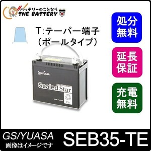 SEB35 TE ポールタイプ テーパー端子 サイクルバッテリー 蓄電池 自家発電 GS YUASA ユアサ
