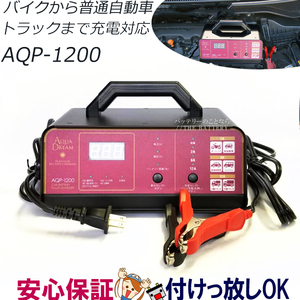 AQP-1200 automobile for motorcycle aqua Dream charger 