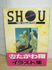  illustration collection #.... sho [SHOU THE COLLECTION] Shueisha /1994 year with belt 19(NINETEEN)/B.B. fish etc.. manga house 