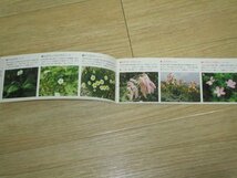 昭和52年■代表的な夏山の花48種　色別カタログ　大貫茂_画像3