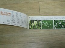 昭和52年■代表的な夏山の花48種　色別カタログ　大貫茂_画像2