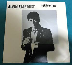 7”●Alvin Stardust / A Picture Of You UKオリジナル盤 Stiff Records BUY 160