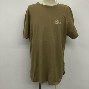 nonnative 3 Nonnative T-shirt short sleeves NN-T3314 T Shirt beige / beige / 10092158