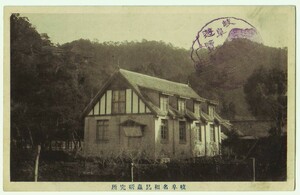 岐阜 名和昆虫研究所 日本最古の昆虫専門博物館 