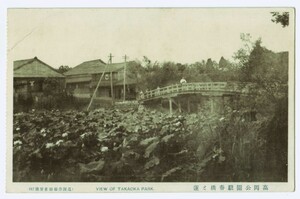 富山 高岡 高岡公園(高岡古城公園) 駐春橋と蓮 街並み