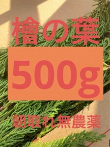 岡山県産　天然　無農薬　ヒノキ　檜の葉　飾り　和食　彩り　特別価格