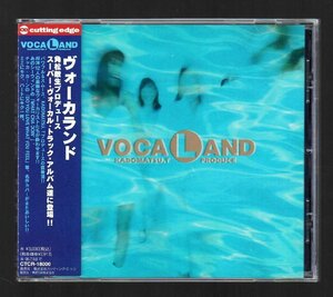 ■角松敏生プロデュース■「VOCALAND(ヴォーカランド)」■藤原理恵/PAULINE WILSON/Hiroko Shidoh■CTCR-18000■1996/7/10発売■概ね美品■