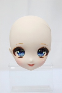 Art hand Auction DDH-22/Custom Head A-23-11-22-269-NY-ZA, doll, Character Doll, Dollfie Dream, Main unit