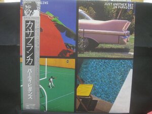 バーティ・ヒギンズ / Bertie Higgins / Just Another Day In Paradise ◆LP8031NO GRPP◆LP