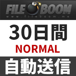  【自動送信】Fileboom NORMAL プレミアムクーポン 30日間 安心のサポート付【即時対応】