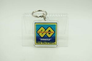 【TRUST キーホルダー】20周年記念/非売品/レア/トラスト/GReddy/BNR32/BCNR33/BNR34/PS13/S14/S15/SR20/RB26/FD3S/ZN6/ZC6/JZX100/BRZ 47