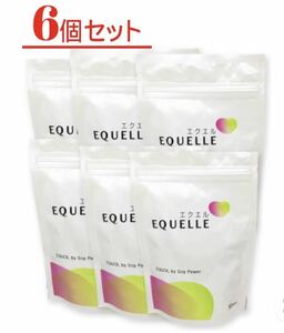 大塚製薬　エクエル　パウチ　120粒　6袋　携帯用ボトル付き　エクオール 大豆イソフラボン　サプリメント