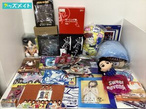 【同梱不可/現状】 アニメ タレント グッズ まとめ売り 艦これ 灼眼のシャナ アクセル・ワールド 生徒会の一存 モーニング娘。 他