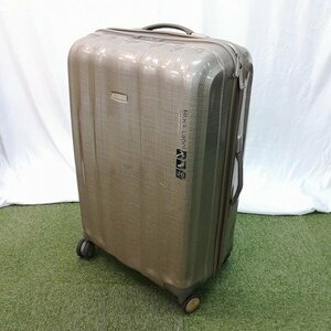 R126d [人気] Samsonite サムソナイト BLACK LABEL スーツケース グレー 全高約73cm 4輪 旅行 ビジネス | KX