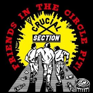 Crucial Section Friends In The Circle Pit! Vinyl 7インチ nyhc metalcore powerviolence punk crust hardcore