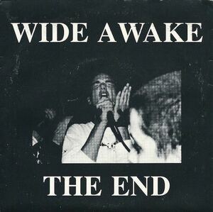 Wide Awake The End Vinyl 7インチ nyhc metalcore