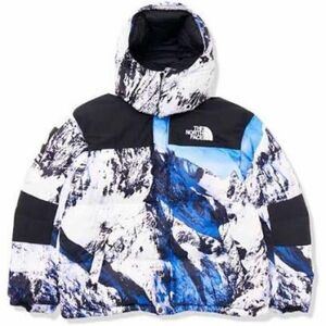 新品未使用 supreme The north face 雪山 バルトロ sサイズ baltoro jacket