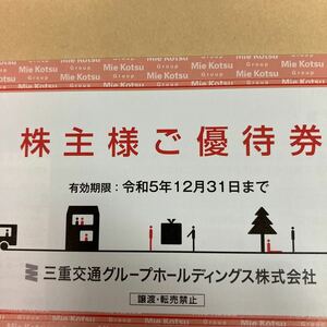 三重交通グループホールディングス (100株)株主優待券 1冊 未使用