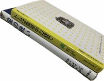 高学年以上向け　児童文学書2冊セット「トムは真夜中の庭で(岩波少年文庫 2079)」「闇の戦い (世界の青春ノベルズ)」　_画像4