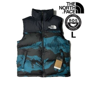 1円～!売切!【正規新品】THE NORTH FACE PRINTED 1996 RETRO NUPTSE VEST ダウンベスト ヌプシ US限定 RDS 防寒(L)青 総柄 ① 190122-115