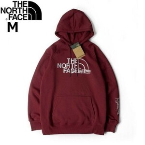 1円～!売切!【正規新品】THE NORTH FACE W GRAPHIC INJECTION HOODIE パーカー プルオーバー US限定 メタリックシルバー(M)赤 181130-23-C