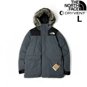 1円～!売切!【正規新品】THE NORTH FACE◆MCMURDO PARKA ダウンジャケット マクマード パーカー US限定 防寒 登山(L)グレー 190122-200