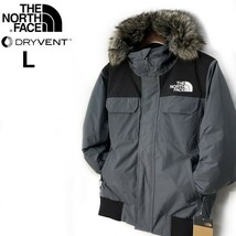 1円～!売切!【正規新品】THE NORTH FACE◆MCMURDO BOMBER JACKET マクマードボンバー ダウンジャケット US限定 撥水(L)グレー 190122-175_画像2