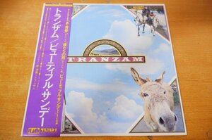 S2-097＜帯付LP/美盤＞トランザム / ビューティフル・サンデー