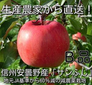 即決■信州安曇野「葉とらずサンふじ」1.6～1.7キロ　家庭用B品　減農薬・除草剤不使用【送料無料地域限定】②