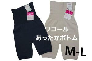  prompt decision * Wacoal / Wing warm bottoms 2 point set (M-L) N7365 new goods 