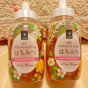 2本セット！日新蜂蜜 純粋アルゼンチン＆カナダ産はちみつ 720g×2で　1440g クーポン消化　ポイント消化