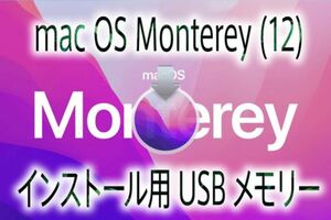 ☆MacOS Monterey（12）インストール用高速USBメモリー☆Apple