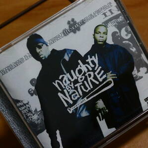【送料無料】Iicons/Naughty By Nature Redman.Method Man,P!NK,Lil Jon"