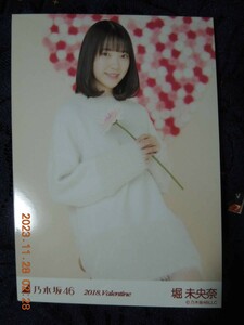 堀未央奈 ブロマイド ⑤ / 乃木坂46 生写真