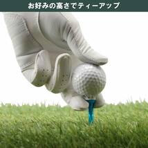 【在庫セール】ゴルフ ティー プラスチックティー Tabata(タバタ) リフトティー GV1413_画像2