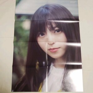 DK338 齋藤飛鳥 星野みなみ（乃木坂46）◆ポスター 両面 雑誌付録
